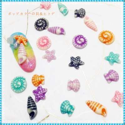 画像10: ポップカラー貝＆ヒトデ　