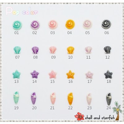 画像11: ポップカラー貝＆ヒトデ　
