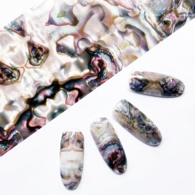 画像6: シェル風ホイル