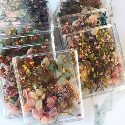 画像3: ドライフラワー&押し花(スクエアケース)