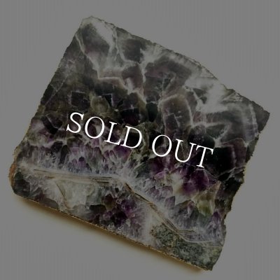 画像7: ジュエリープレート