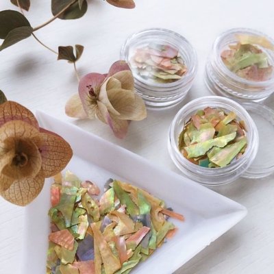 画像6: シェルフレーク　ミックス【数量限定】