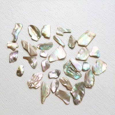 画像12: ハイクオリティー　レインボーカラーシェル