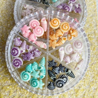 画像4: ポップカラー貝＆ヒトデ　