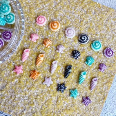 画像6: ポップカラー貝＆ヒトデ　