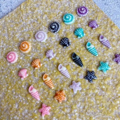 画像8: ポップカラー貝＆ヒトデ　