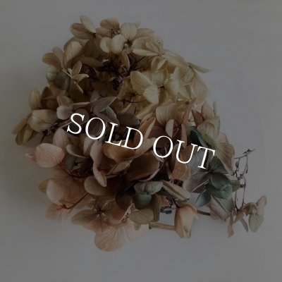 画像11: 紫陽花　プリザーブドフラワー【現品限り】