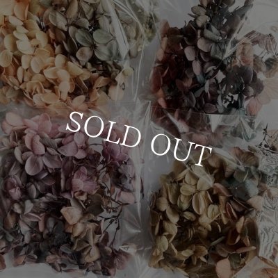 画像5: 紫陽花　プリザーブドフラワー【現品限り】