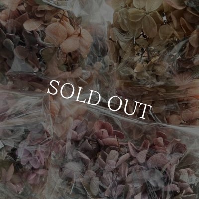 画像6: 紫陽花　プリザーブドフラワー【現品限り】