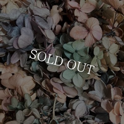 画像4: 紫陽花　プリザーブドフラワー【現品限り】