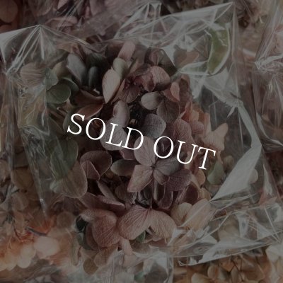 画像9: 紫陽花　プリザーブドフラワー【現品限り】