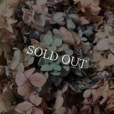 画像3: 紫陽花　プリザーブドフラワー【現品限り】