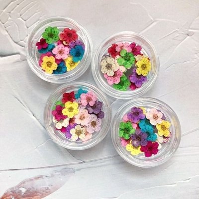 画像7: 押し花ミックス　18枚入