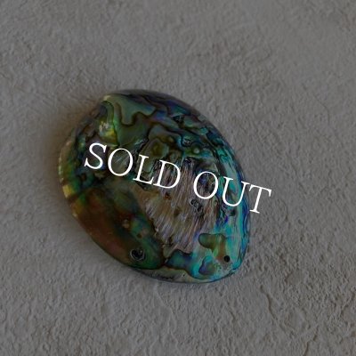 画像3: ナチュラルシェル　ディスプレイorアクセサリー