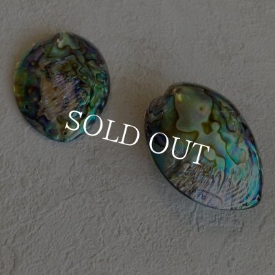 画像6: ナチュラルシェル　ディスプレイorアクセサリー