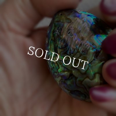 画像7: ナチュラルシェル　ディスプレイorアクセサリー