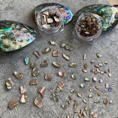 画像5: レインボーシェルII