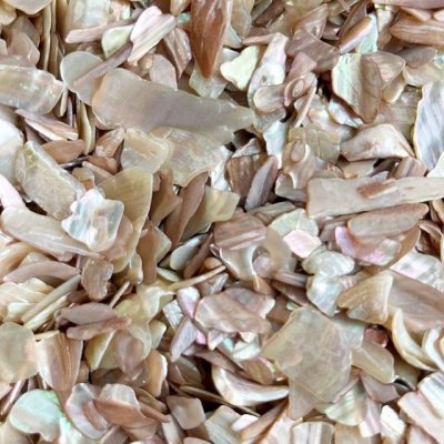 画像7: ティンシェル