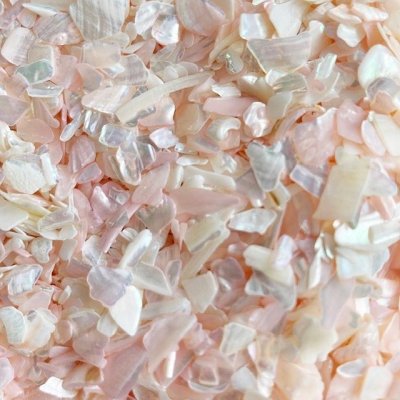 画像6: ティンシェル