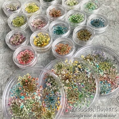 画像7: レースフラワー