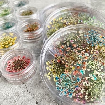 画像8: レースフラワー