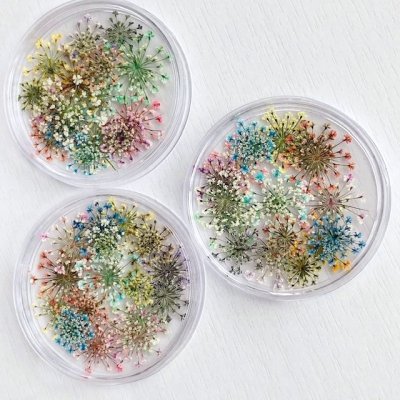 画像22: レースフラワー