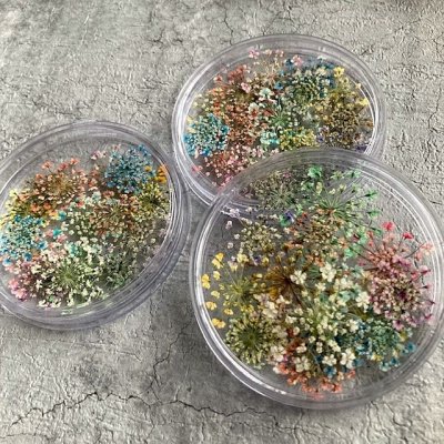 画像11: レースフラワー