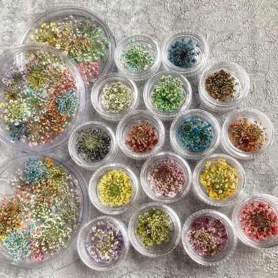 画像9: レースフラワー