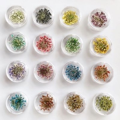 画像24: レースフラワー