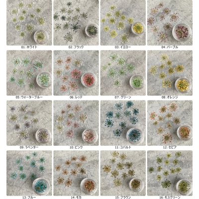 画像13: レースフラワー