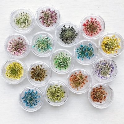 画像23: レースフラワー