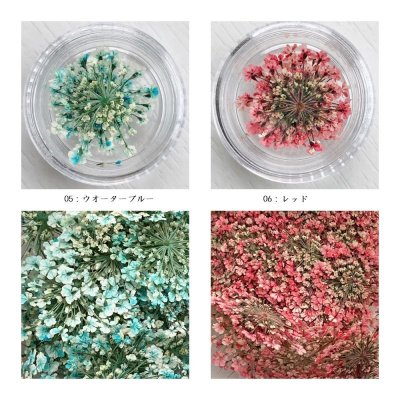 画像16: レースフラワー