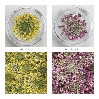 画像15: レースフラワー