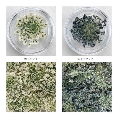 画像14: レースフラワー