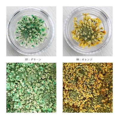 画像17: レースフラワー