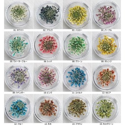 画像12: レースフラワー