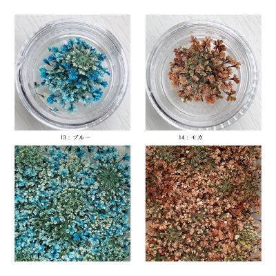 画像20: レースフラワー