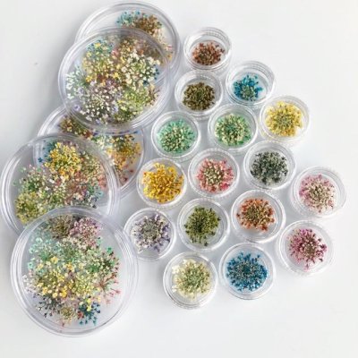 画像5: レースフラワー