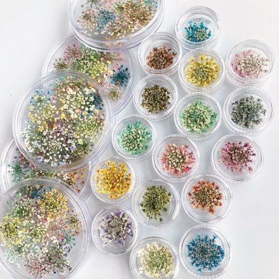 画像28: レースフラワー