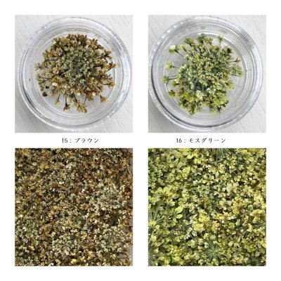 画像21: レースフラワー