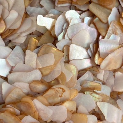 画像6: フラットシェル