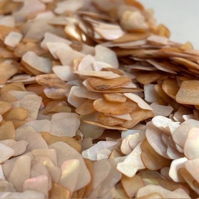 画像5: フラットシェル