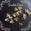 画像2: Starfish Pearl (2)