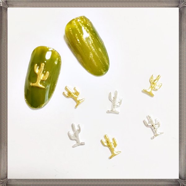 画像2: サボテン (2)