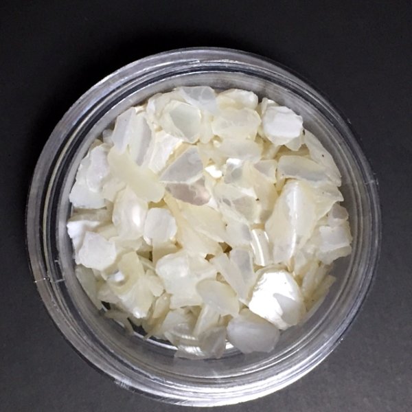 画像2: ナチュラル シェル 【現品限り】 (2)