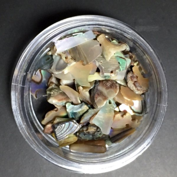 画像3: ナチュラル シェル 【現品限り】 (3)