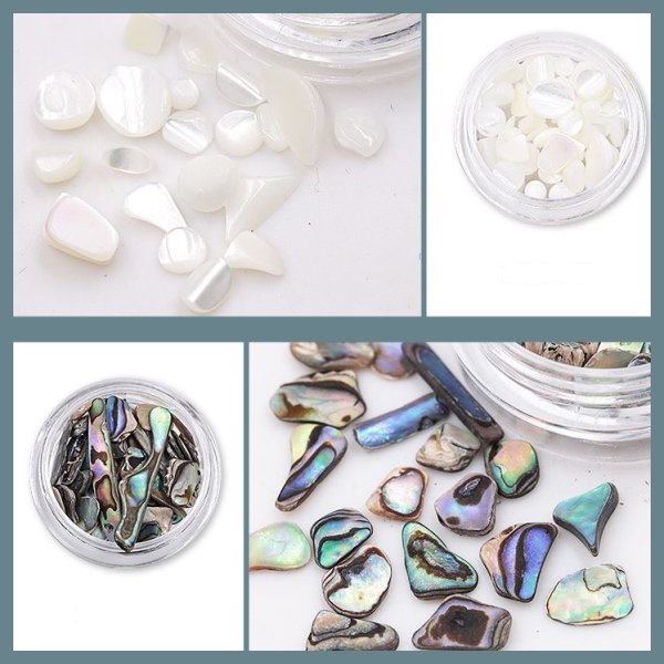 画像8: ナチュラル シェル 【現品限り】 (8)