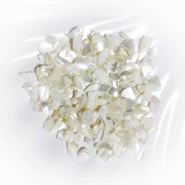 画像5: ナチュラル シェル 【現品限り】 (5)