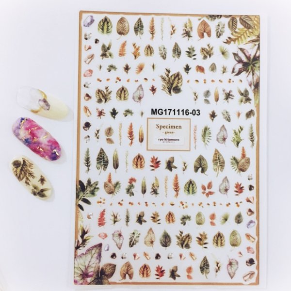 画像3: リーフステッカー (3)