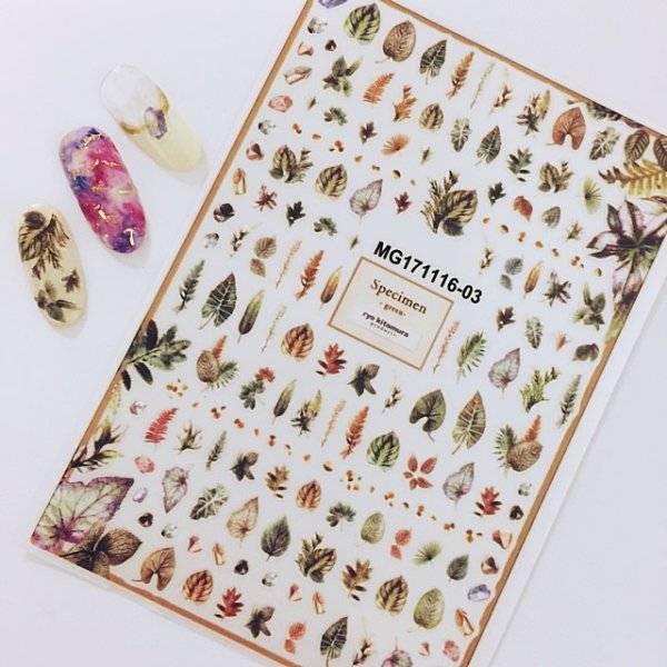 画像4: リーフステッカー (4)